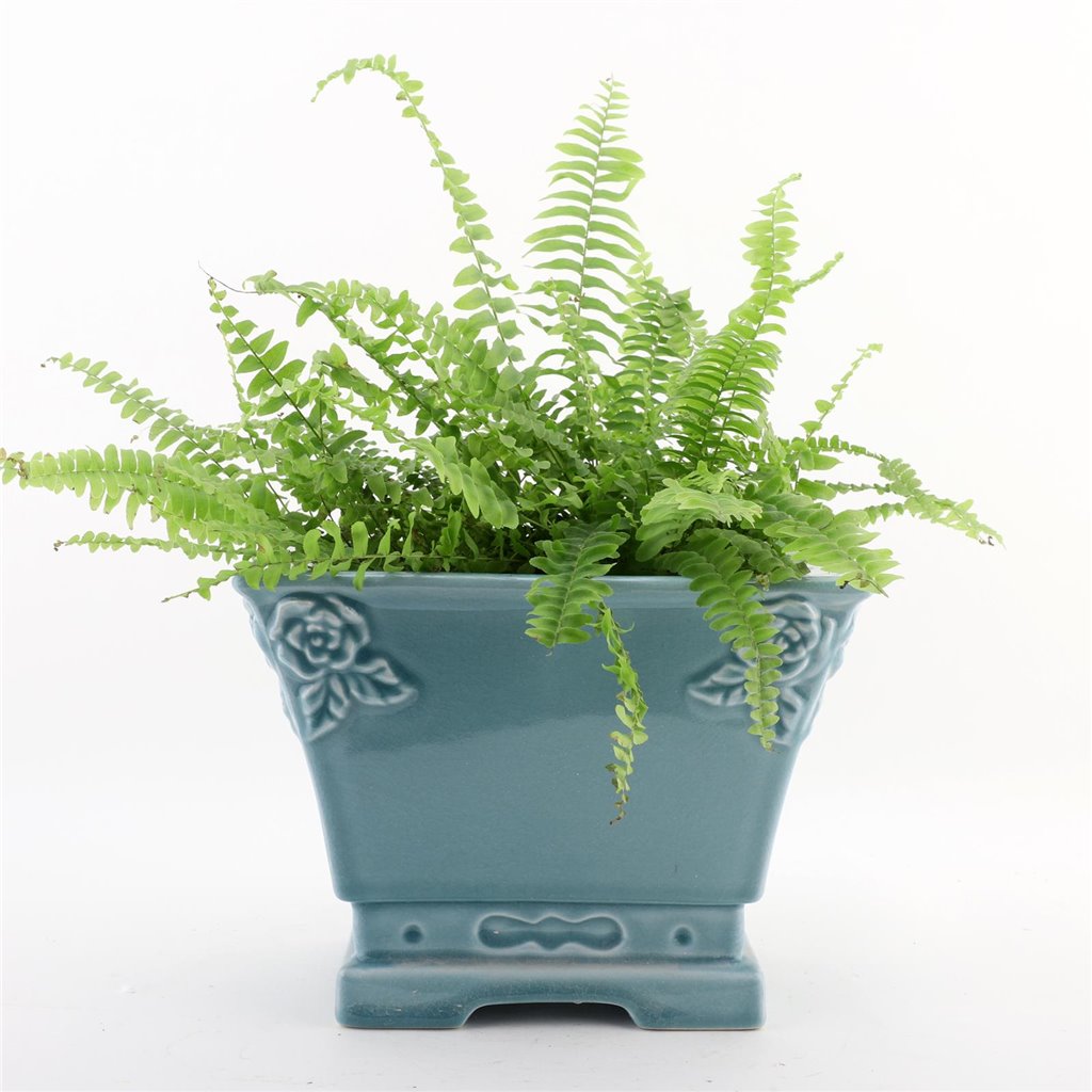 Danny's Fine Porcelain Porcelain Rectangular Planter - Sky Blue (small)