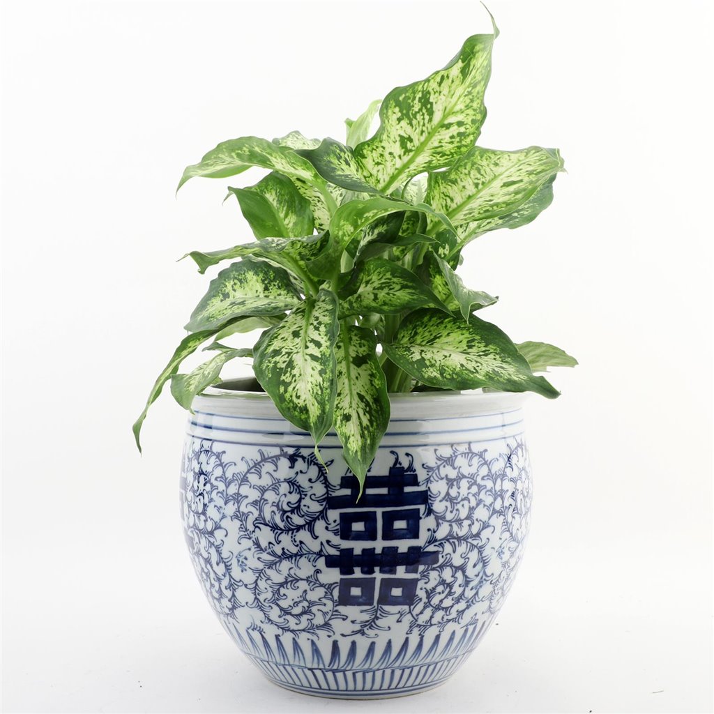 Danny's Fine Porcelain Round Planter - Blue & White Double Happiness