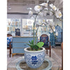 Danny's Fine Porcelain Round Planter - Blue & White Double Happiness
