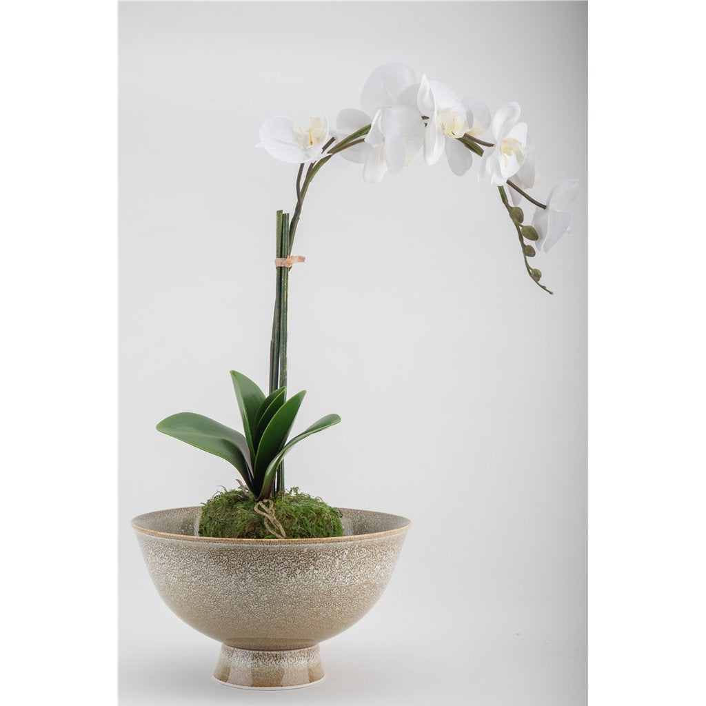 Danny's Fine Porcelain Shell Glazed Round Pedestal Basin