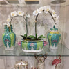 Danny's Fine Porcelain Famille Rose Bok Choy Footbath Celebrate Traditional Chinese Porcelain