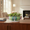 Danny's Fine Porcelain Famille Rose Bok Choy Footbath Celebrate Traditional Chinese Porcelain