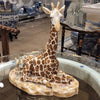 Danny's Fine Porcelain 10.75" Giraffe - Sitting