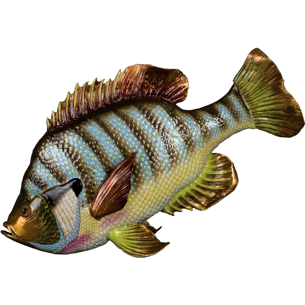 Danny's Fine Porcelain Fish - CLOSEOUT