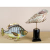 Danny's Fine Porcelain Fish - CLOSEOUT