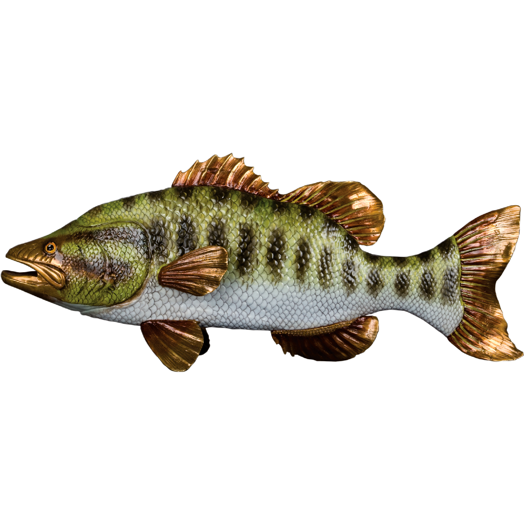 Danny's Fine Porcelain Fish - CLOSEOUT