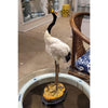 Danny's Fine Porcelain Porcelain Crane with Bronze Ormolu