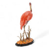 Danny's Fine Porcelain Bird Figure with Bronze Ormolu-Scarlet Ibis