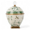 Danny's Fine Porcelain Lidded Box with Bronze Ormolu Verdant Flight