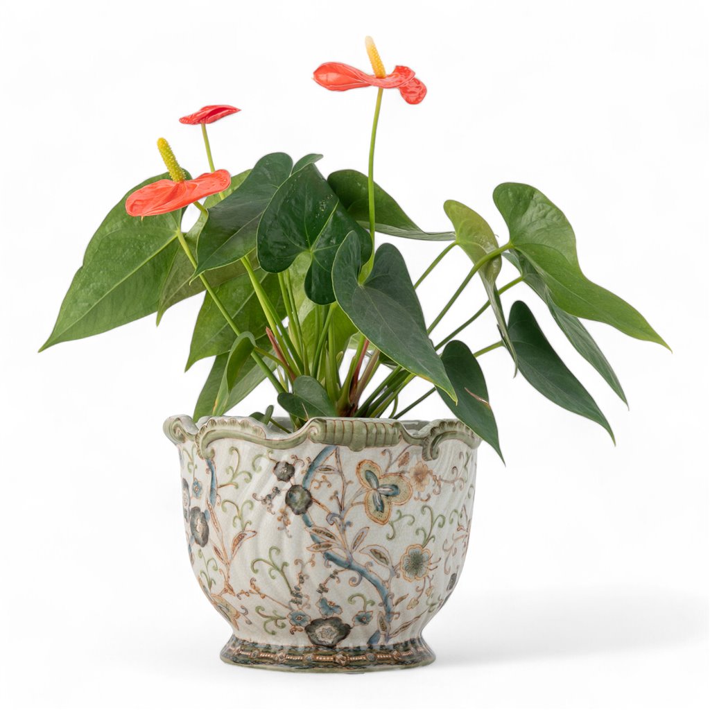 Danny's Fine Porcelain Planter-Twine Garden Avail