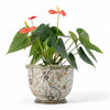 Danny's Fine Porcelain Planter-Twine Garden Avail