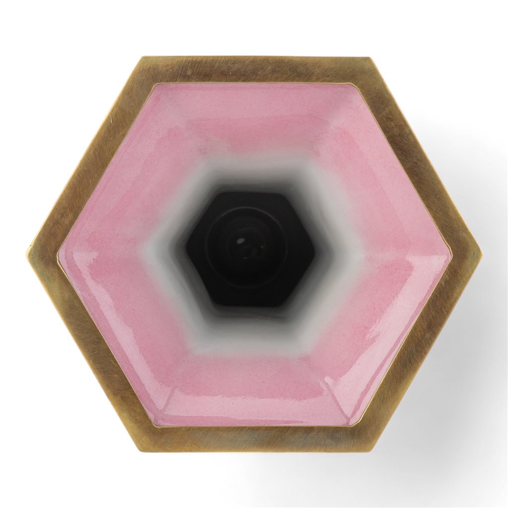 Danny's Fine Porcelain Hexagon Vase with Bronze Ormolu in Pastel Poetic Bird Collection