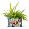 Danny's Fine Porcelain Scalloped Basin with Multicolor Florals in Blue Lattice - Garden
