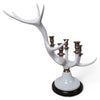 Danny's Fine Porcelain Antler Style Candle Holder - CLOSEOUT