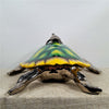 Danny's Fine Porcelain Sea Turtle Covered Box - CLOSEOUT