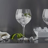 Orrefors Gin and Tonic - Set of 6
