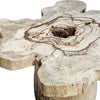Uttermost Anzalone Solid Wood Coffee Table