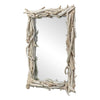 Uttermost Rooted Reflection Bleached Teak Mirror