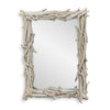 Uttermost Rooted Reflection Bleached Teak Mirror