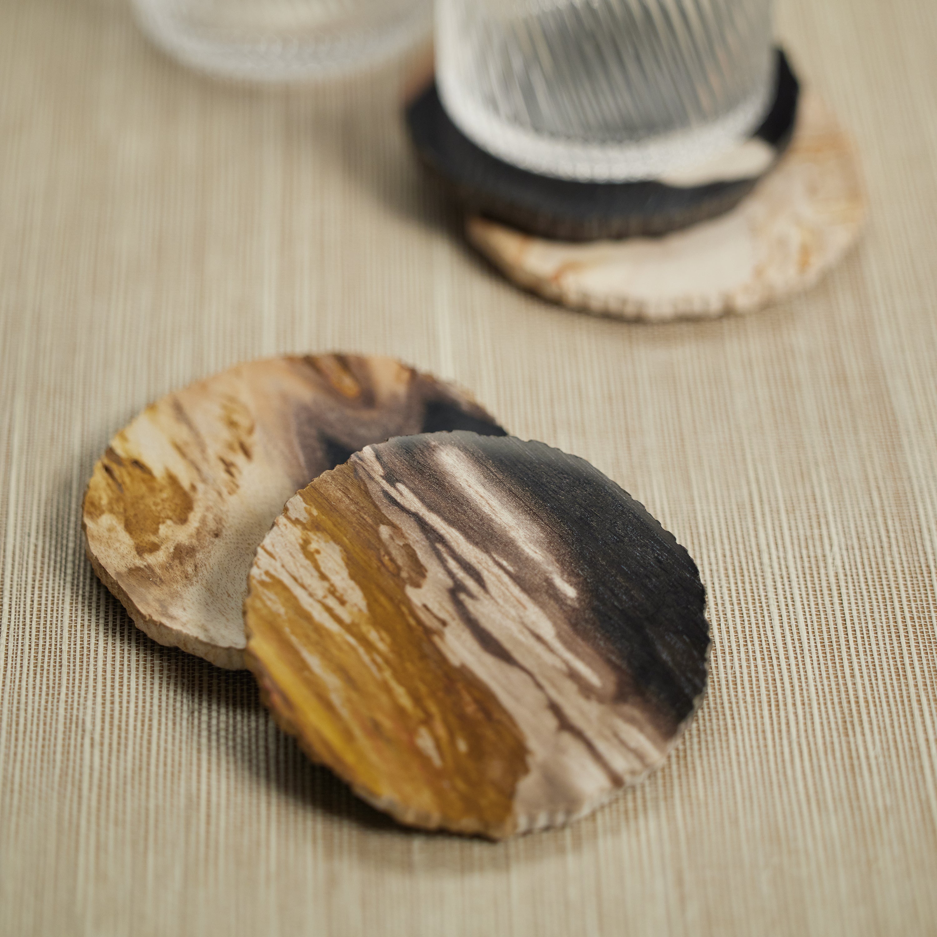 Curio Bay Petrified Wood Coaster 4"