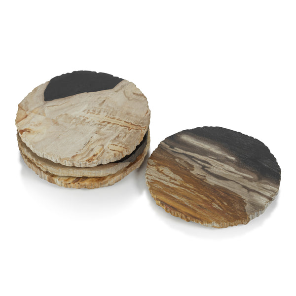 Curio Bay Petrified Wood Coaster 4"