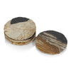 Curio Bay Petrified Wood Coaster 4"