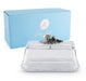 Arthur Court Serveware Arthur Court Glass Butter Dish - Acorn