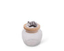 Arthur Court Giftware Arthur Court Grape Glass Canister Small