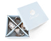 Arthur Court Giftware Arthur Court Western Napkin Rings