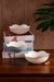Beatriz Ball Servware Beatriz Ball ENCANTO Amelia Mini Round Bowl Cream and White