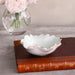 Beatriz Ball Serveware Beatriz Ball ENCANTO Colette Mini Round Bowl  (Camellia and White)