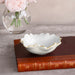 Beatriz Ball Serveware Beatriz Ball ENCANTO Colette Mini Round Bowl  (Cream and White)
