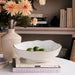 Beatriz Ball Serveware Beatriz Ball ENCANTO Dakota Medium Bowl (Cream and White)