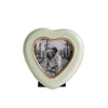 Beatriz Ball Picture Frames Beatriz Ball ENCANTO Giftables Heart Frame (Pistachio)