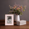 Beatriz Ball Picture Frames Beatriz Ball FRAME Encanto Jason  4 x 6 (Camellia)