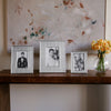 Beatriz Ball Picture Frames Beatriz Ball FRAME Tiffany 4 x 6