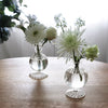 Beatriz Ball Giftware Beatriz Ball GLASS Cambridge Ella 7" Bud Vase Set of 2 (Clear)