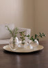 Beatriz Ball Giftware Beatriz Ball Glass Faceted Round Bud Vase Clear