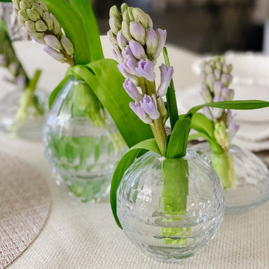 Beatriz Ball Giftware Beatriz Ball Glass Faceted Round Bud Vase Clear