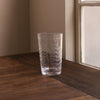 Beatriz Ball Serveware Beatriz Ball GLASS Fern with Dots Tumbler Set of 4 (Clear)
