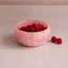 Beatriz Ball Serveware Beatriz Ball RESIN Sorbet Mini Round Bowl Raspberry