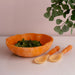 Beatriz Ball Serveware Beatriz Ball RESIN Sorbet Salad Servers Tangerine