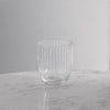 Beatriz Ball Serveware Beatriz Ball VIDA Acrylic Double Old Fashioned (Clear)