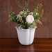 Beatriz Ball Serveware Beatriz Ball VIDA Amelia Vase White