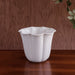 Beatriz Ball Serveware Beatriz Ball VIDA Amelia Vase White