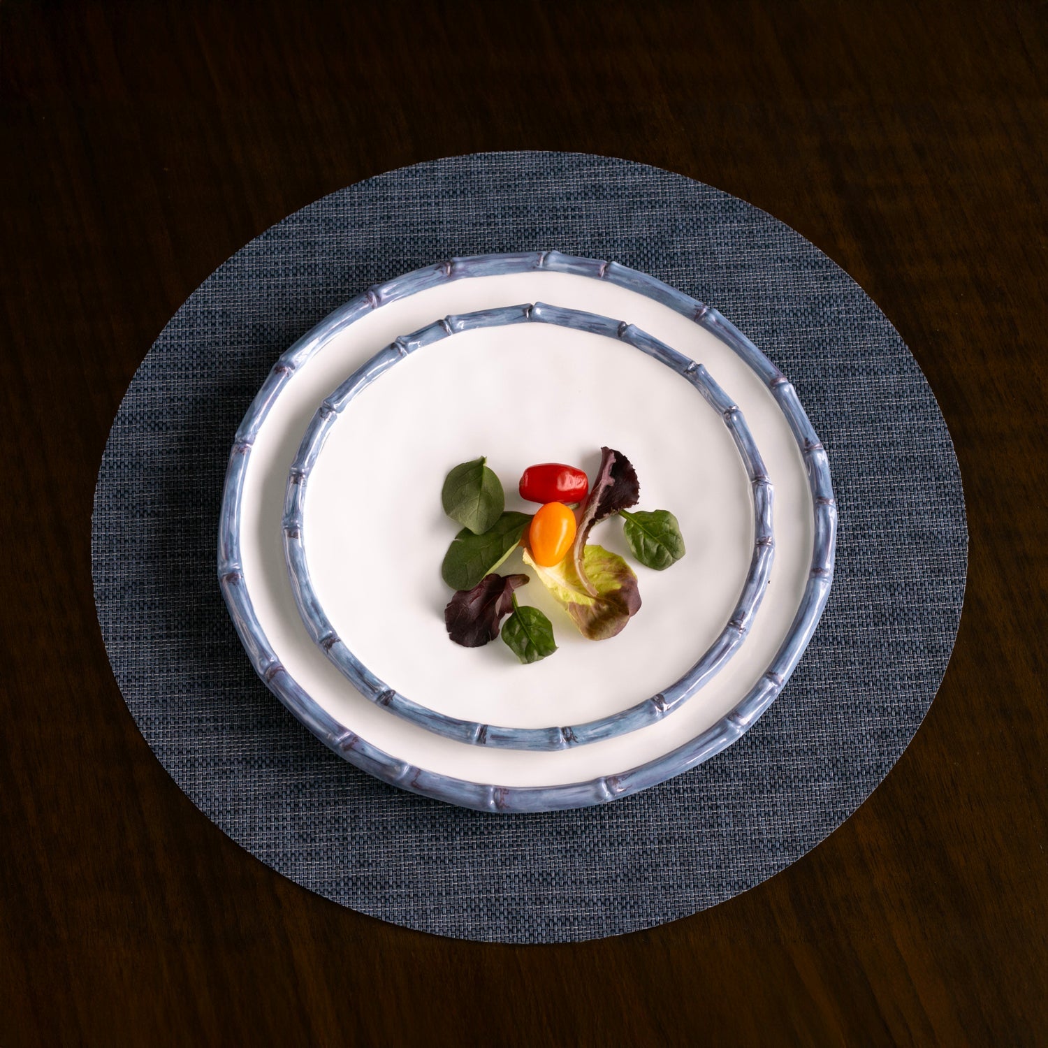 Beatriz Ball Serveware Beatriz Ball VIDA Bamboo 9" Salad Plate Set of 4 (White and Blue)
