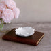Beatriz Ball Serveware Beatriz Ball VIDA Colette Appetizer Plates Set of 4 (White)