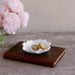 Beatriz Ball Serveware Beatriz Ball VIDA Colette Appetizer Plates Set of 4 (White)