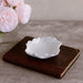 Beatriz Ball Serveware Beatriz Ball VIDA Colette Appetizer Plates Set of 4 (White)
