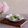 Beatriz Ball Serveware Beatriz Ball VIDA Colette Medium Bowl (White)